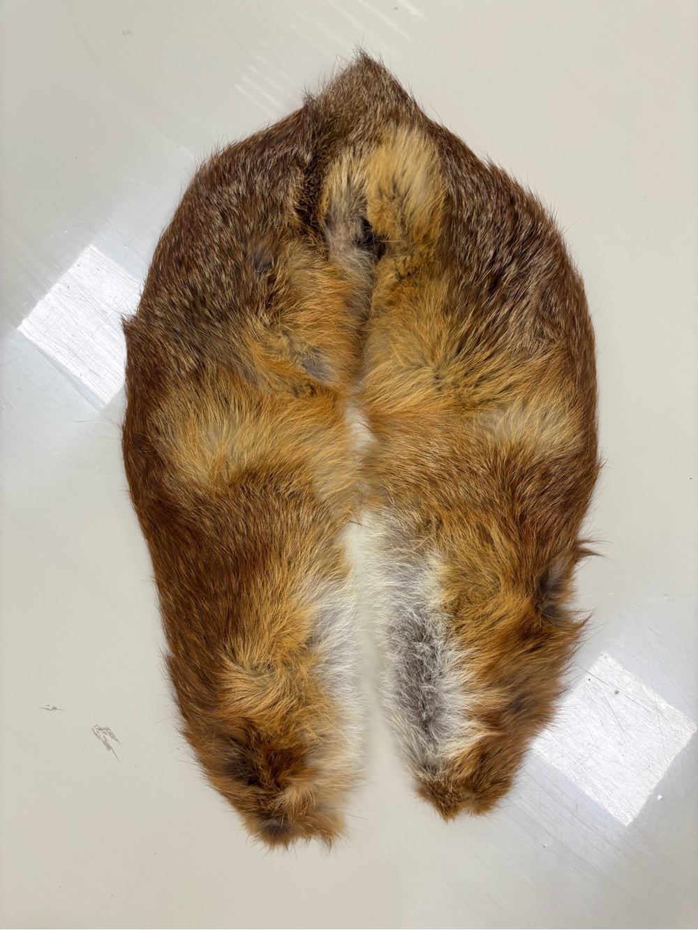 Vintage Red Fox Fur Collar/Scarf - Rich Rust and Cream Tones